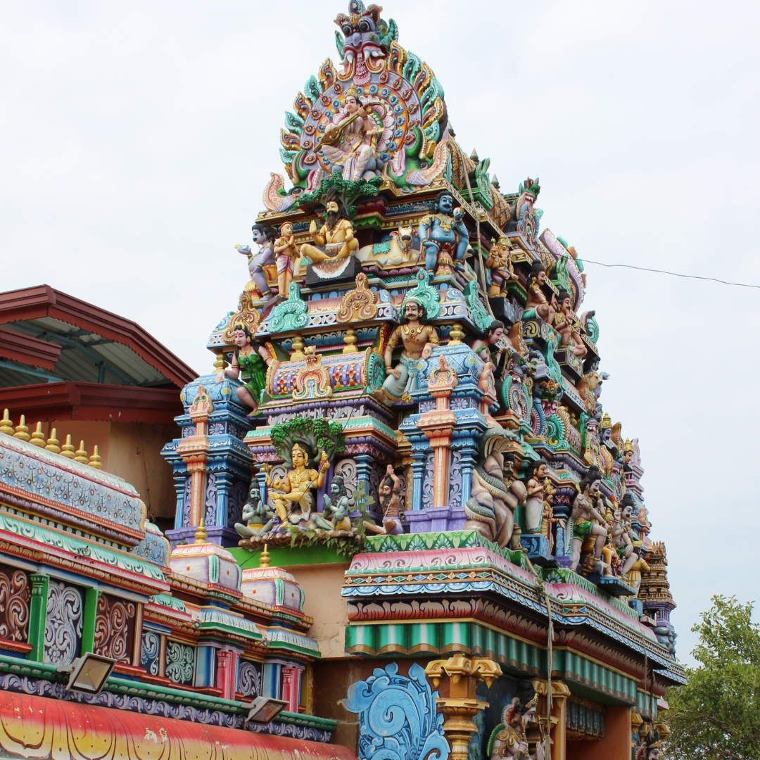 Apa sittandes i ett träd