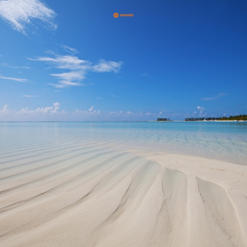 Lover's Leap vattenfall i bakgrunden med en grön växt i fokus