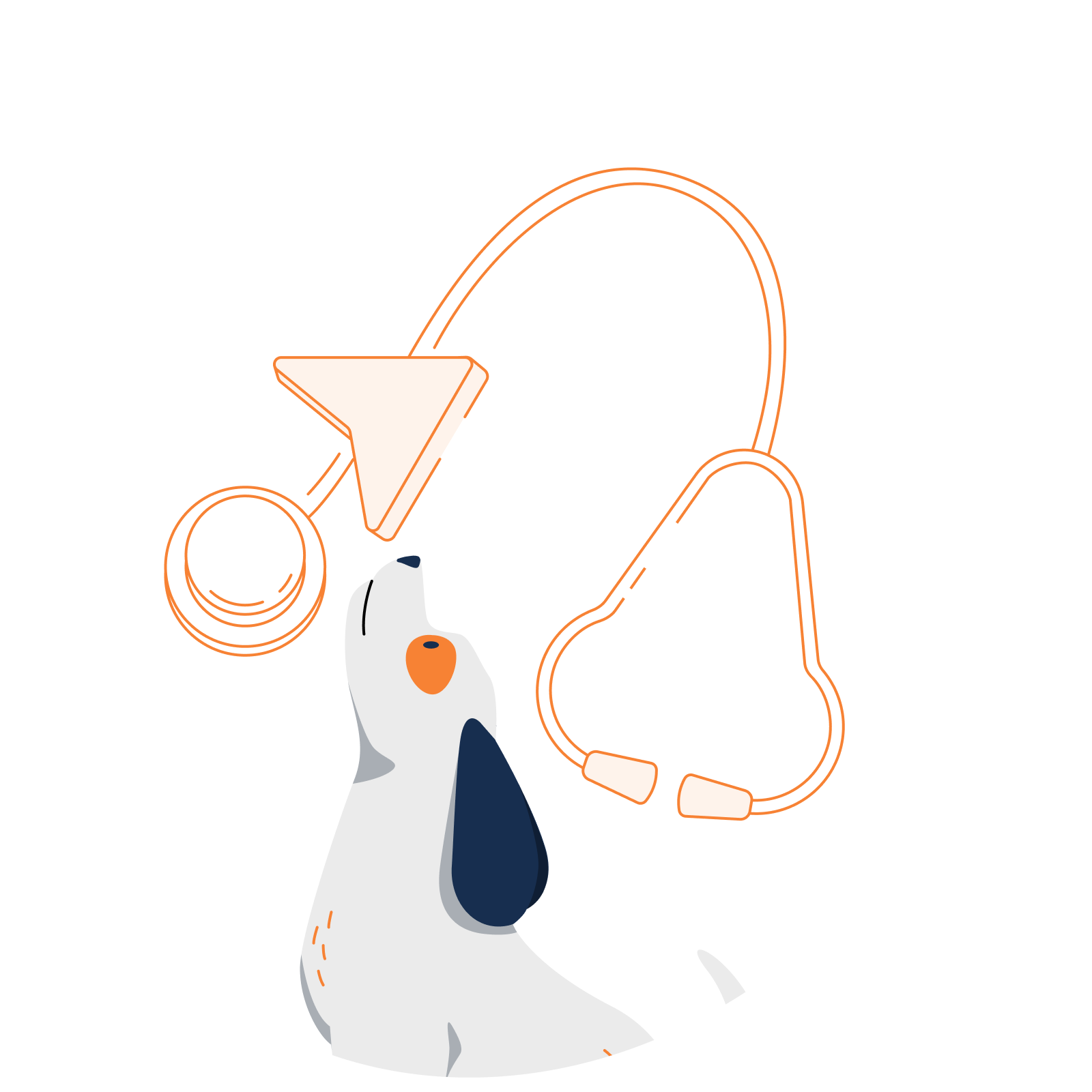 Chien qui regarde un stéthoscope en l'air