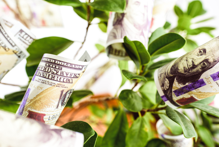 CDP identifies a ‘disclosure dividend’: Investment in climate action can lead to returns of up to $21 for every $1 spent