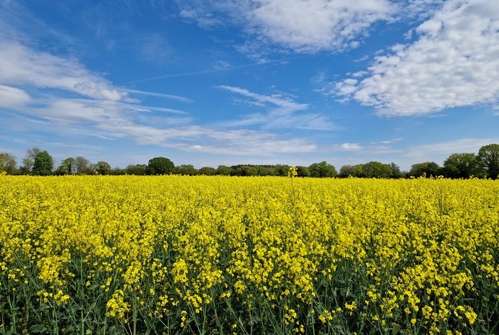 PepsiCo partners with Soil Capital to scale regenerative agriculture