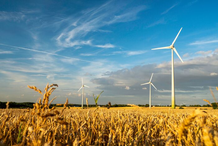 ‘Geopolitical shock absorber’: $480 billion in fossil fuel costs avoided last year due to renewable energy boom