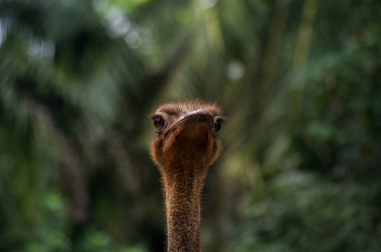 Shallow depth of field photo isolating a subject sharply against a softly blurred background