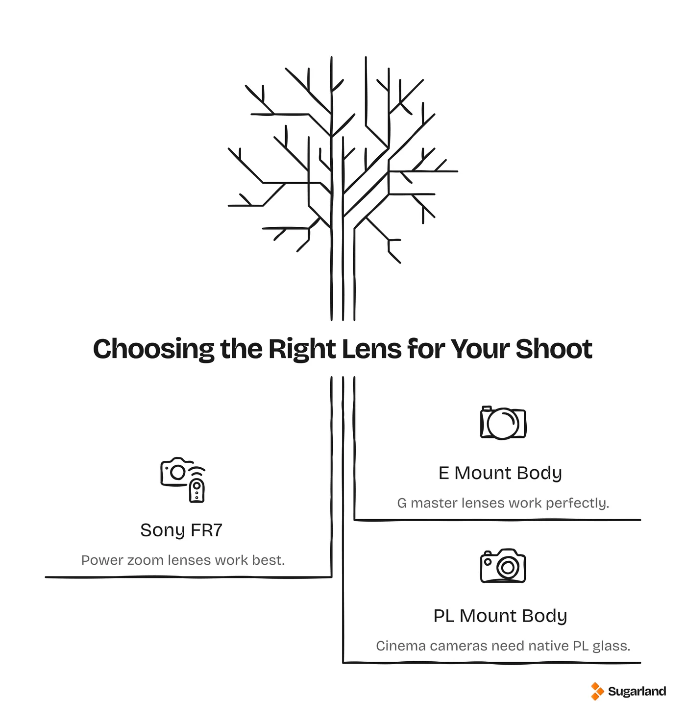 Decision tree showing which lens type to choose for E-mount, FR7 and PL mount camera bodies