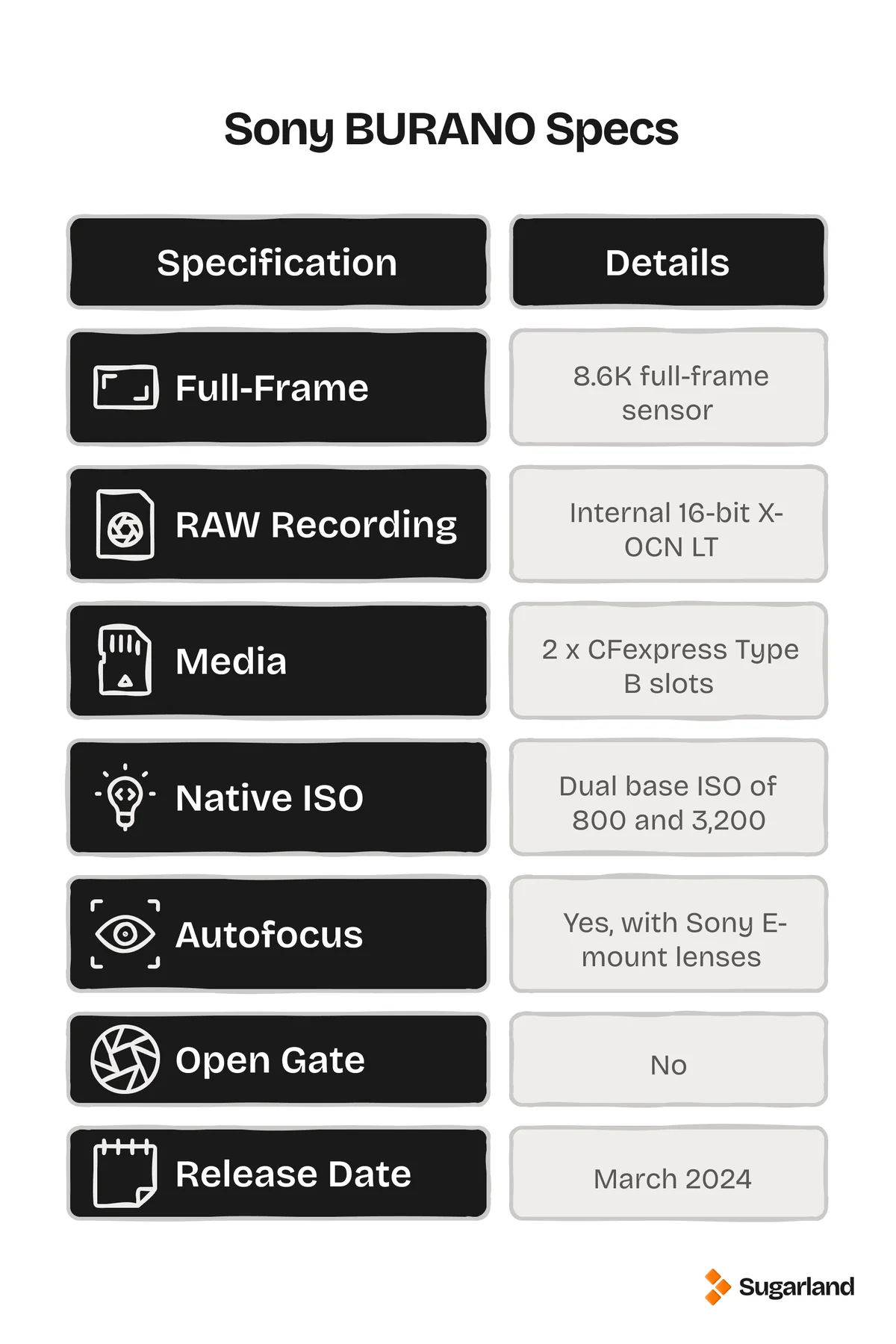 Sony BURANO specs table: 8.6K full-frame sensor, internal 16-bit X-OCN LT RAW, 2 CFexpress Type B slots, dual base ISO of 800 and 3,200, autofocus with E-mount lenses, no open gate, released March 2024
