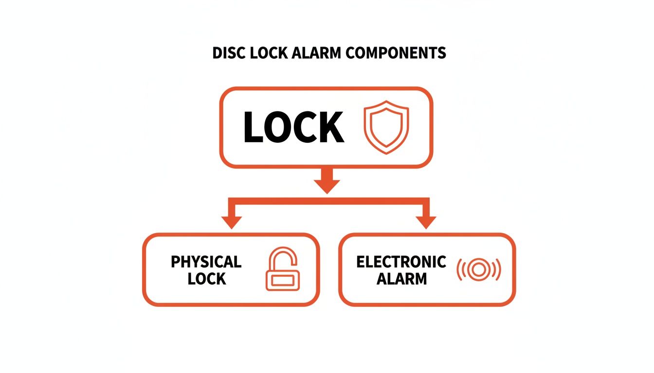 Diagram illustrating the components of a disc lock alarm, which include a physical lock and an electronic alarm.