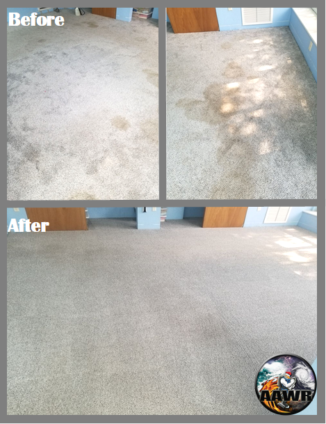 Carpet Cleaning Before and After