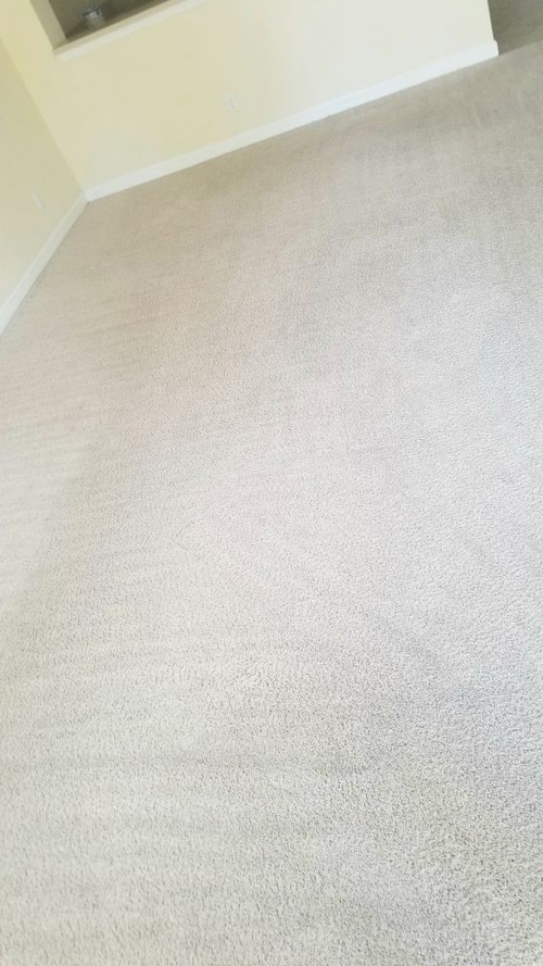 Clean Carpets