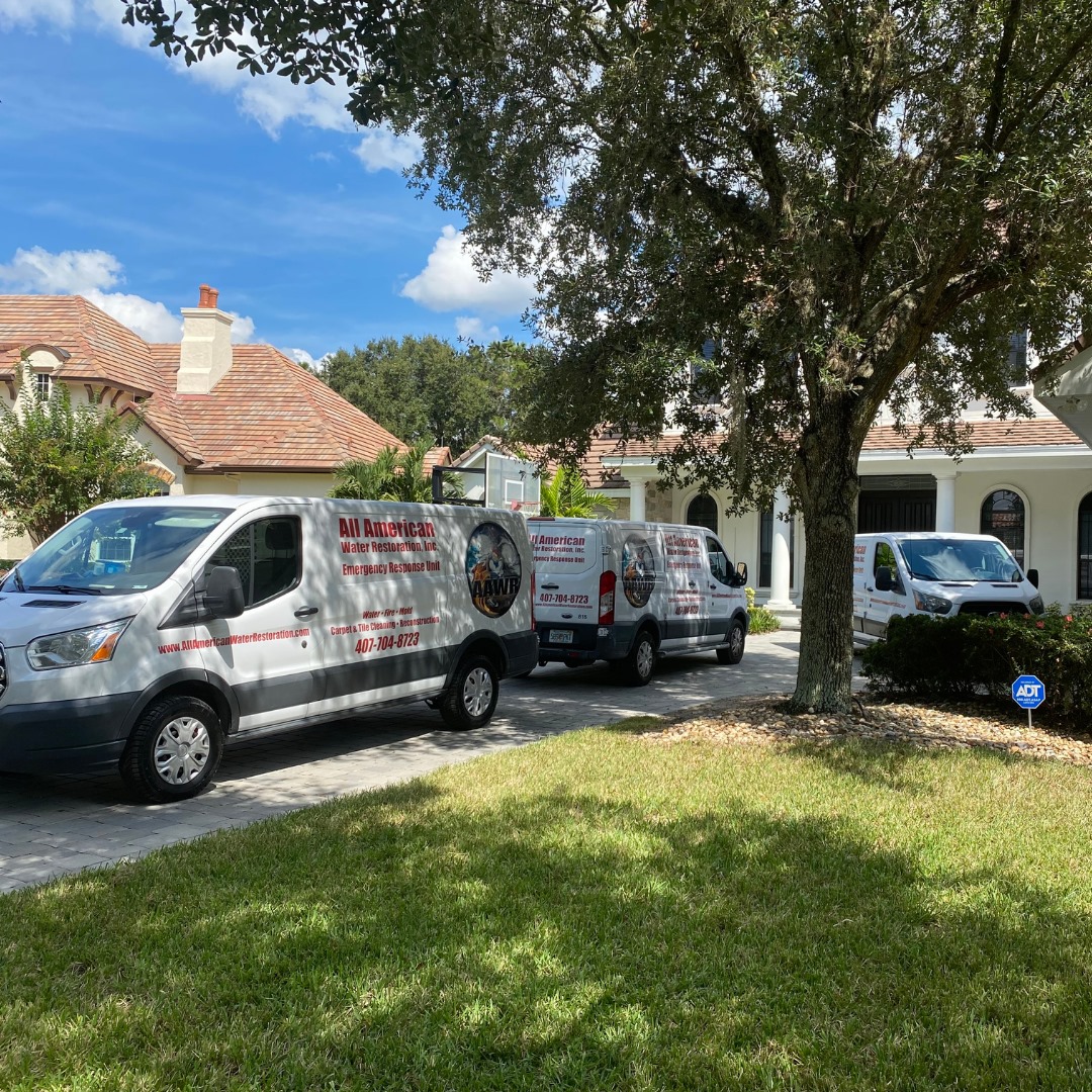 Residential Mold Remediation