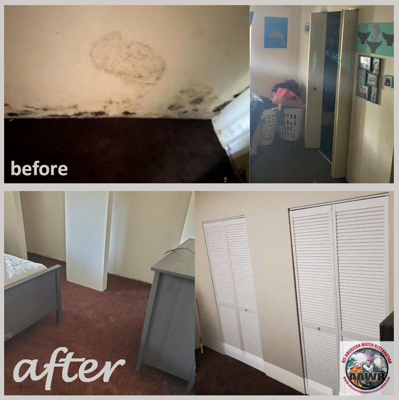 Restoration and Remodel After Mold Damage