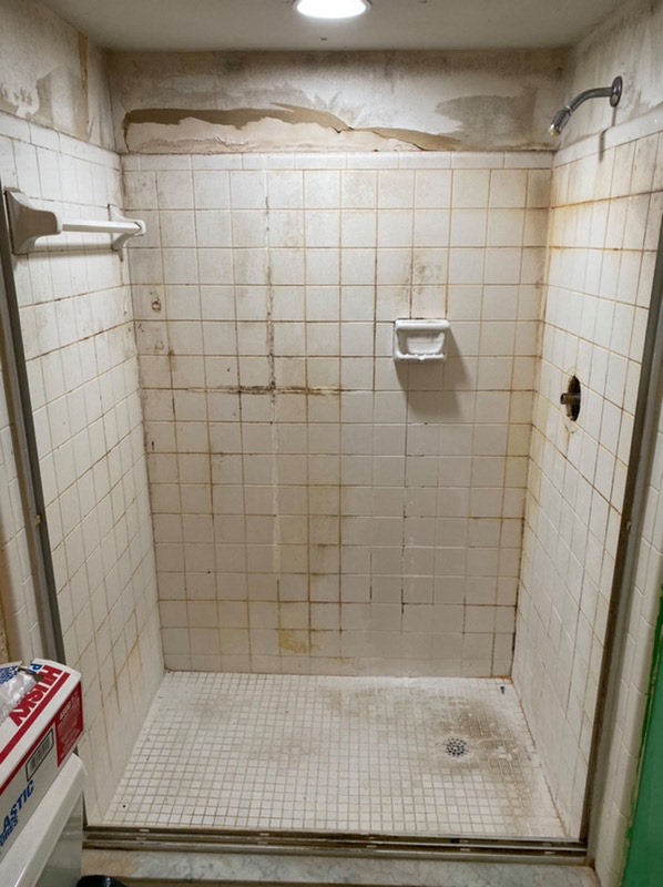 Before and After Shower Transformation