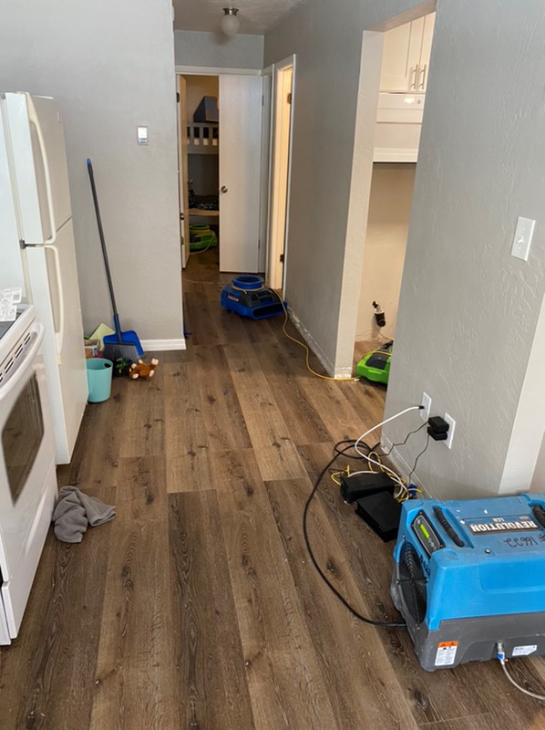 Water Cleanup and Restoration 