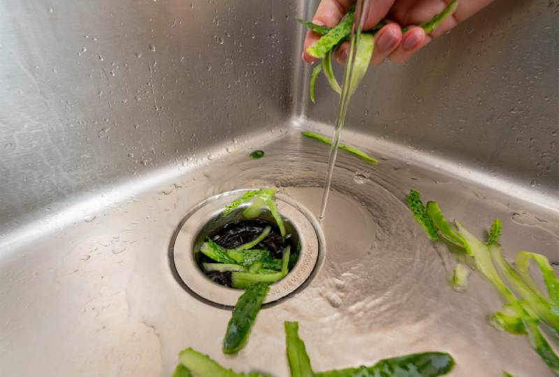 Vegetable peels in sink drain.