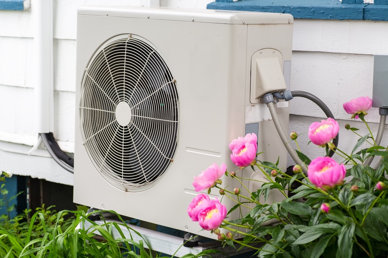Outdoor heat pump unit with pink flowers in Austin, TX.