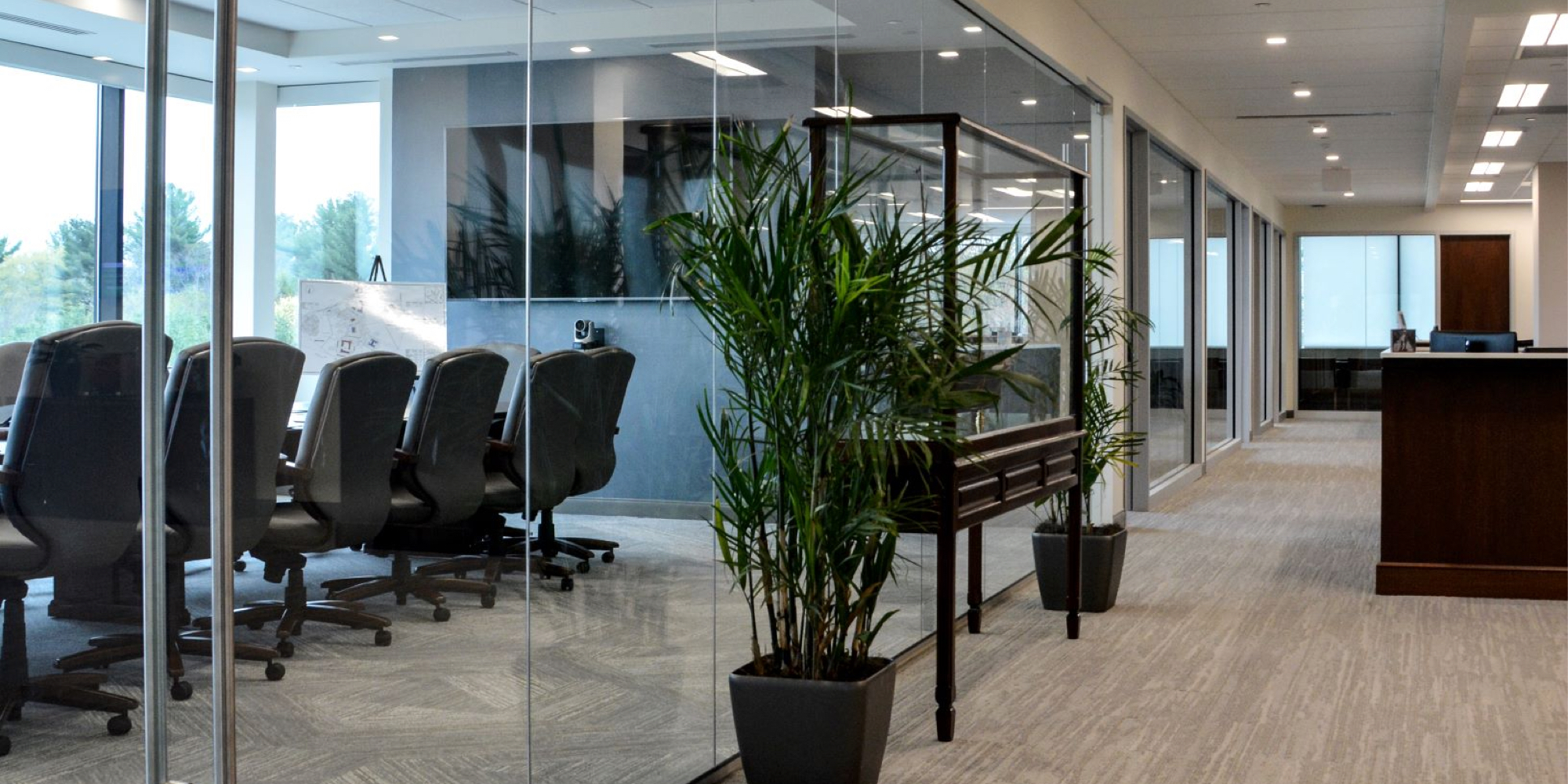 Office interior with glass meeting room and lush plant.