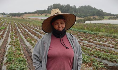 Bertha Magaña’s Rise