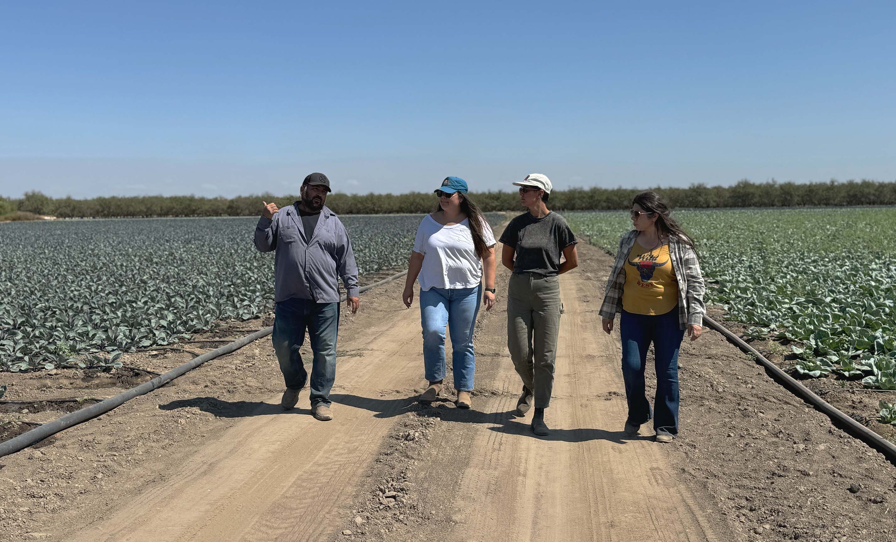 Four people walk in a field on a sunny day