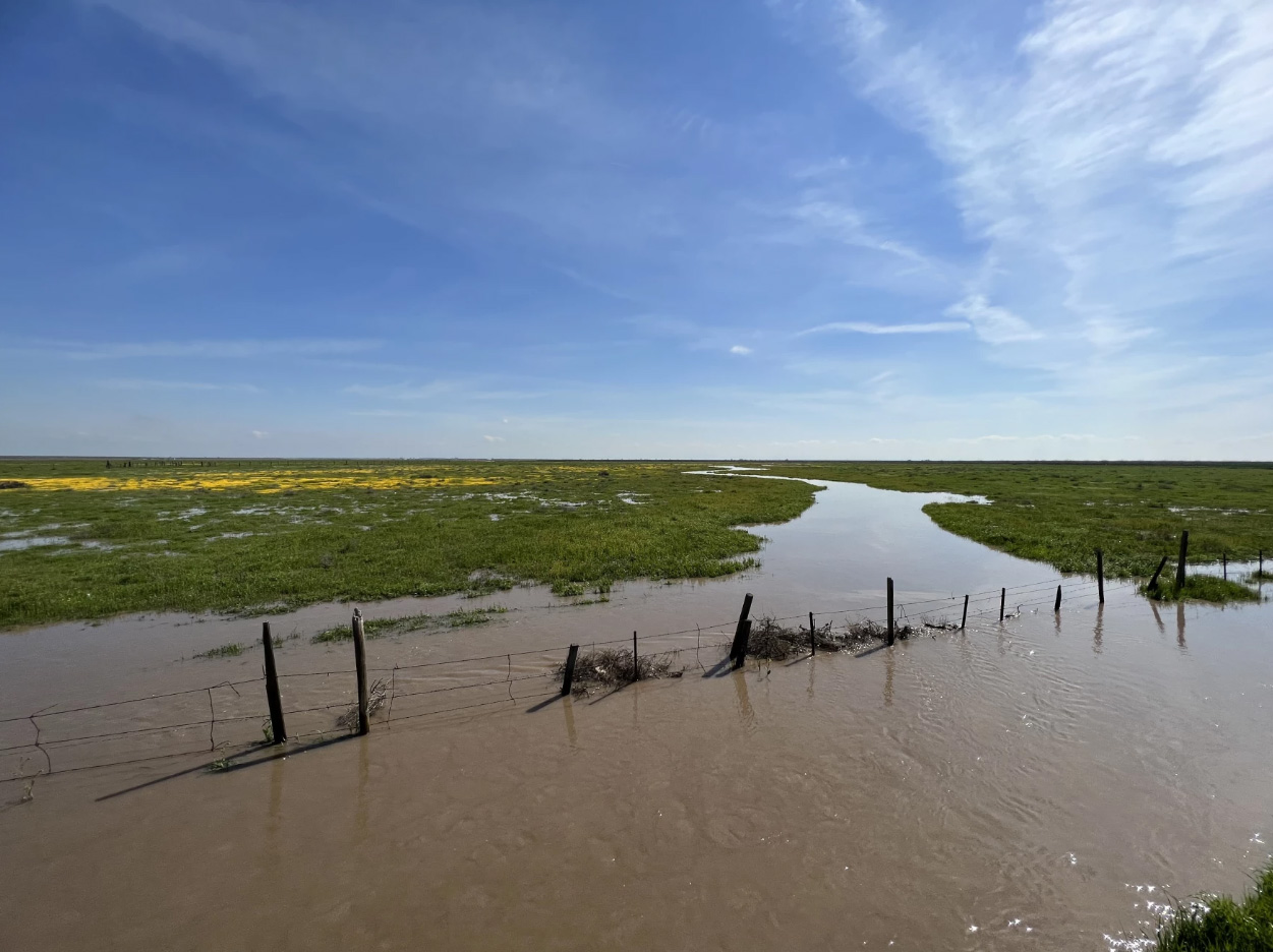 Field flooded on a sunny day in California