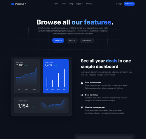 Hero Strip - Dataplus X Webflow Template