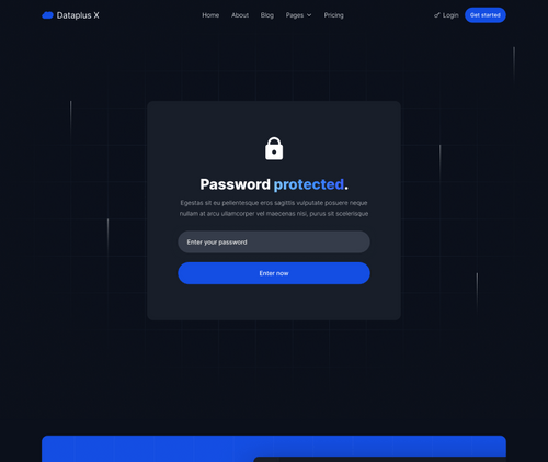 Password Protected - Dataplus X Webflow Template