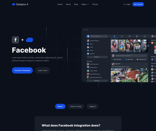 Integration Single - Dataplus X Webflow Template