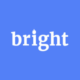 Bright Data icon