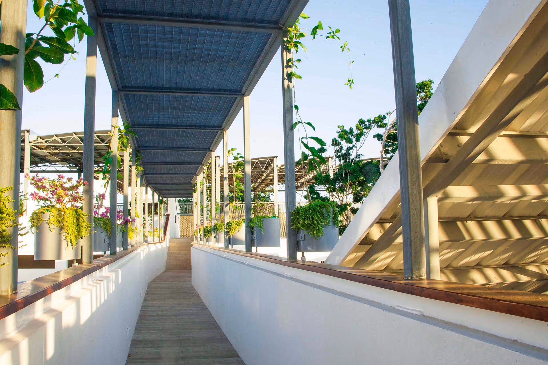 Garden walkway