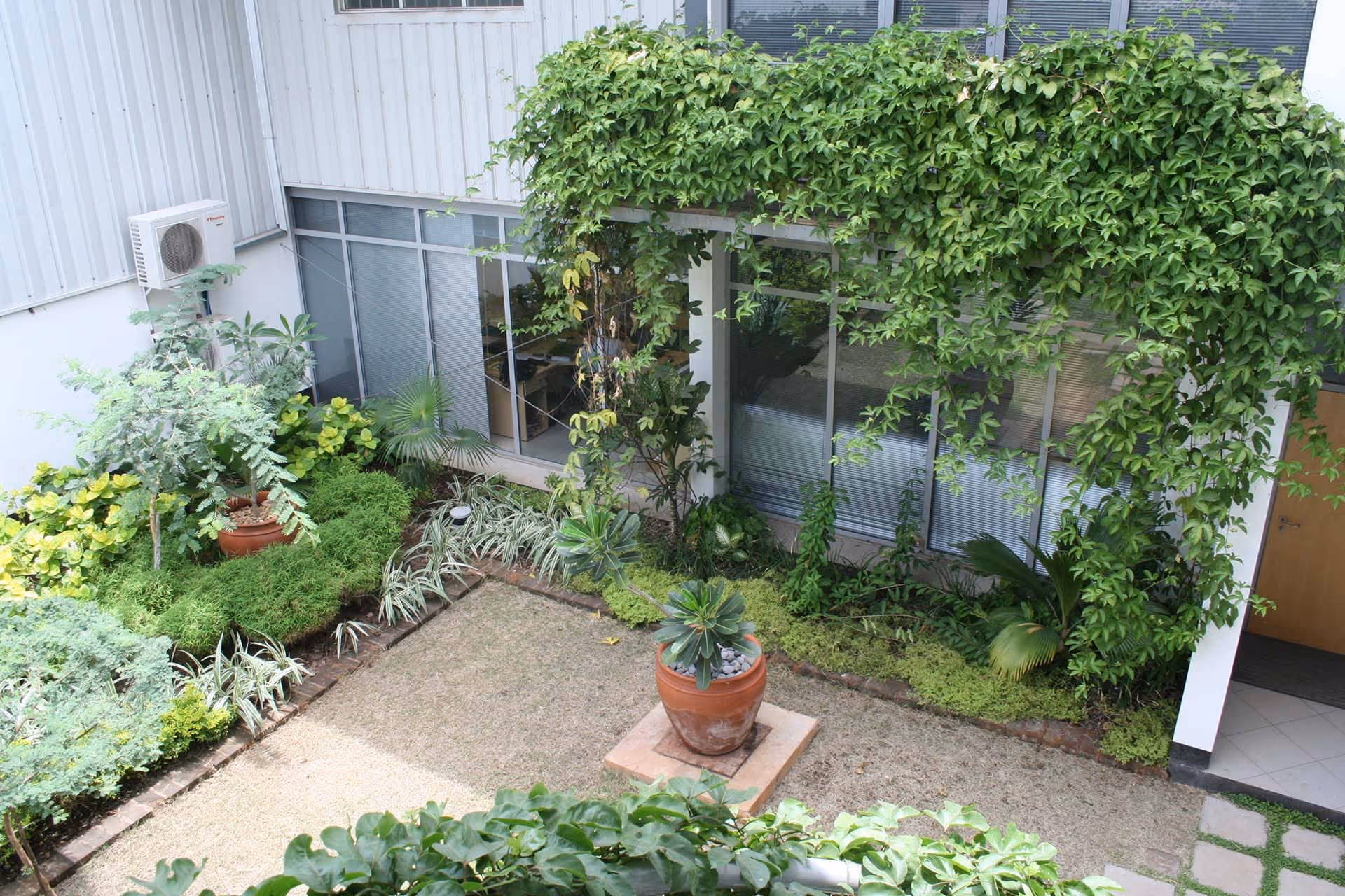 DT Dobie 2 Garden