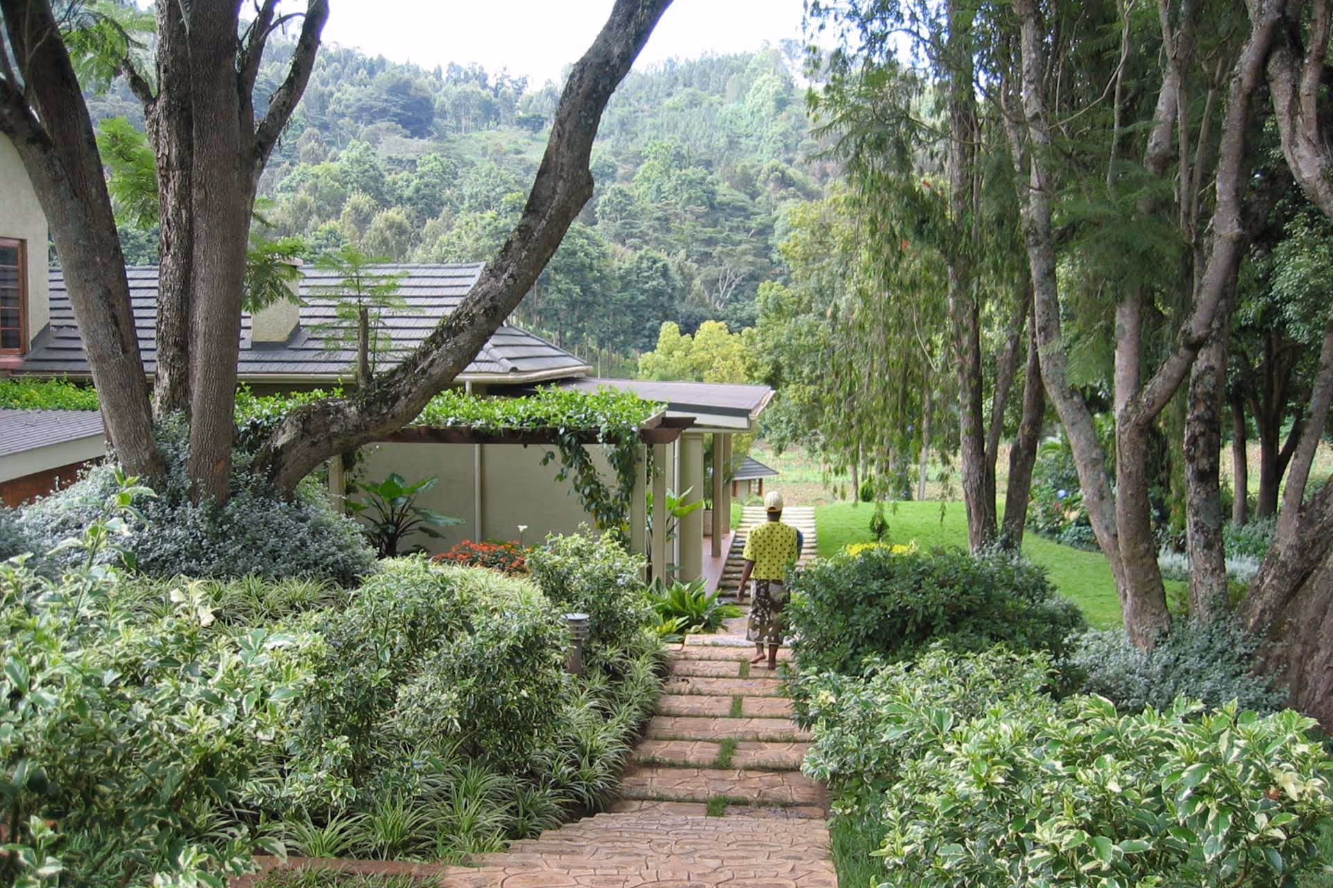 Lushoto Garden Pathway