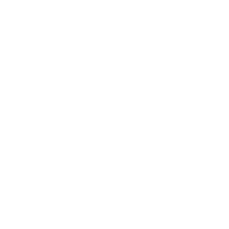 Insights Association company member