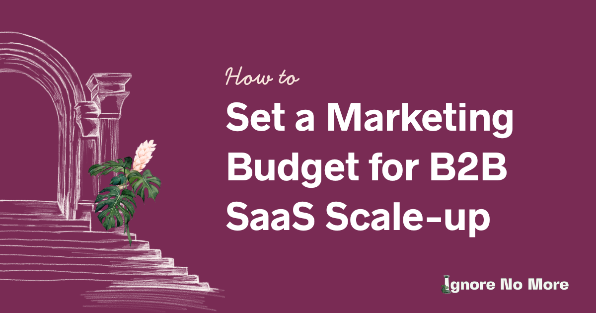 How to Set a Marketing Budget for B2B SaaS Scale-up