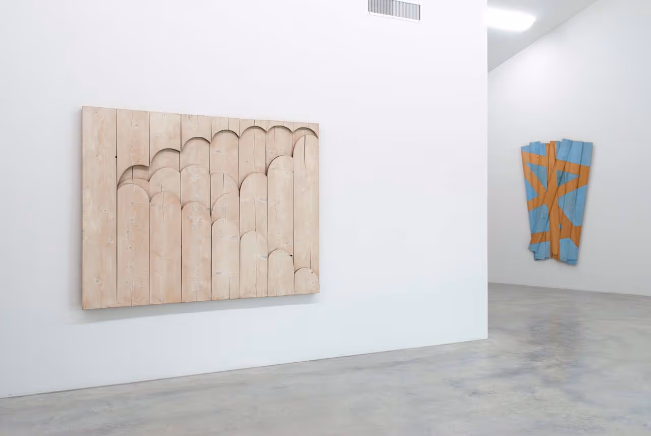 Alfonso Hüppi - Holzwege