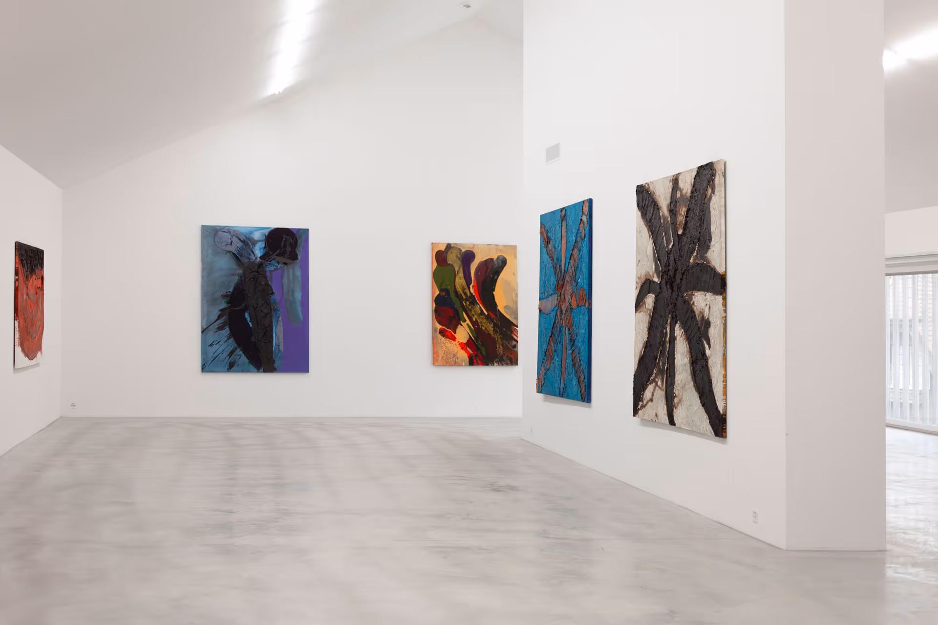 Darío Basso - Le voyage de l'argonaute