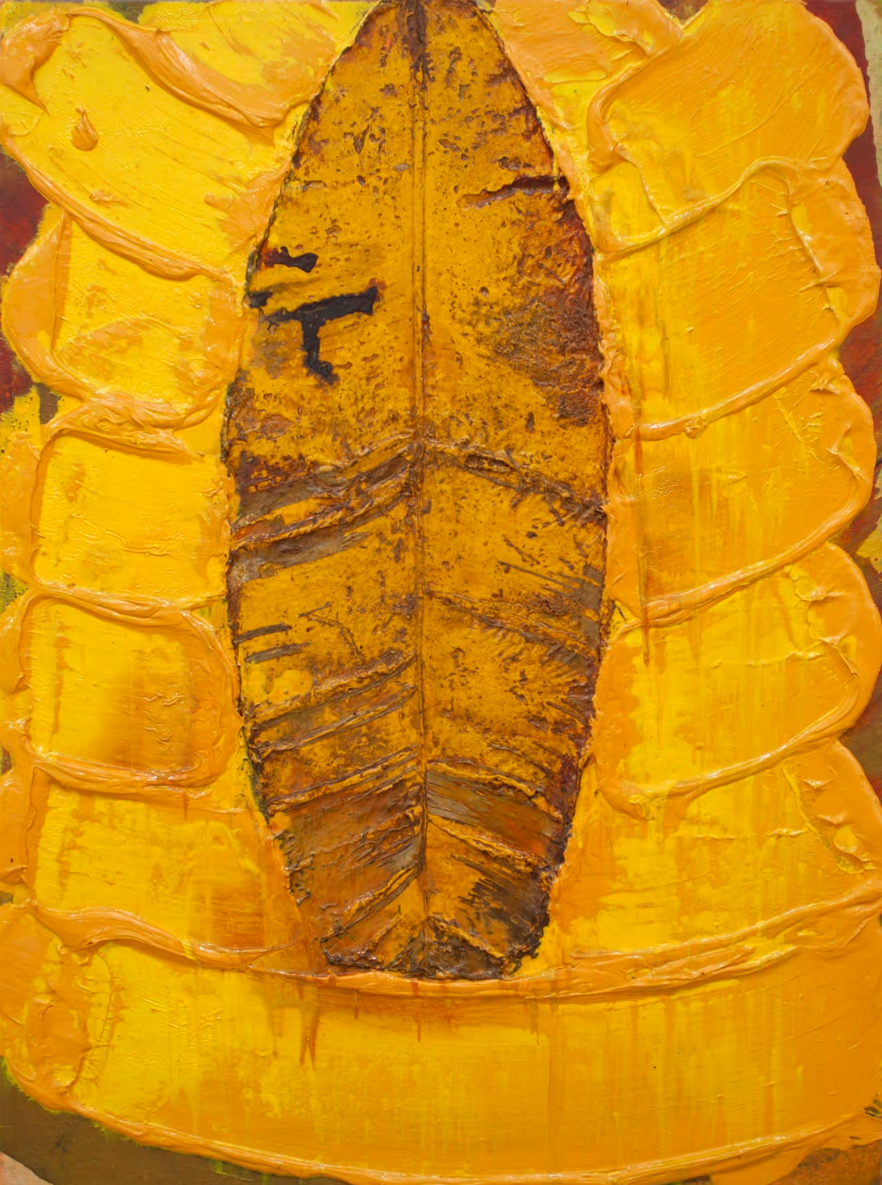 Dario Basso Musa Balbisiana