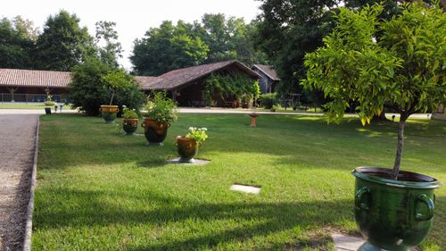 Bouton vert Airial des Monges Gîte de groupe en Gironde