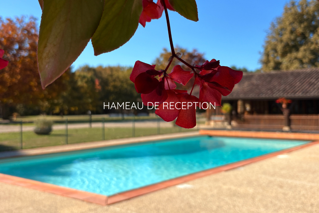 Grand terrain Airial des Monges Gîte de groupe en Gironde