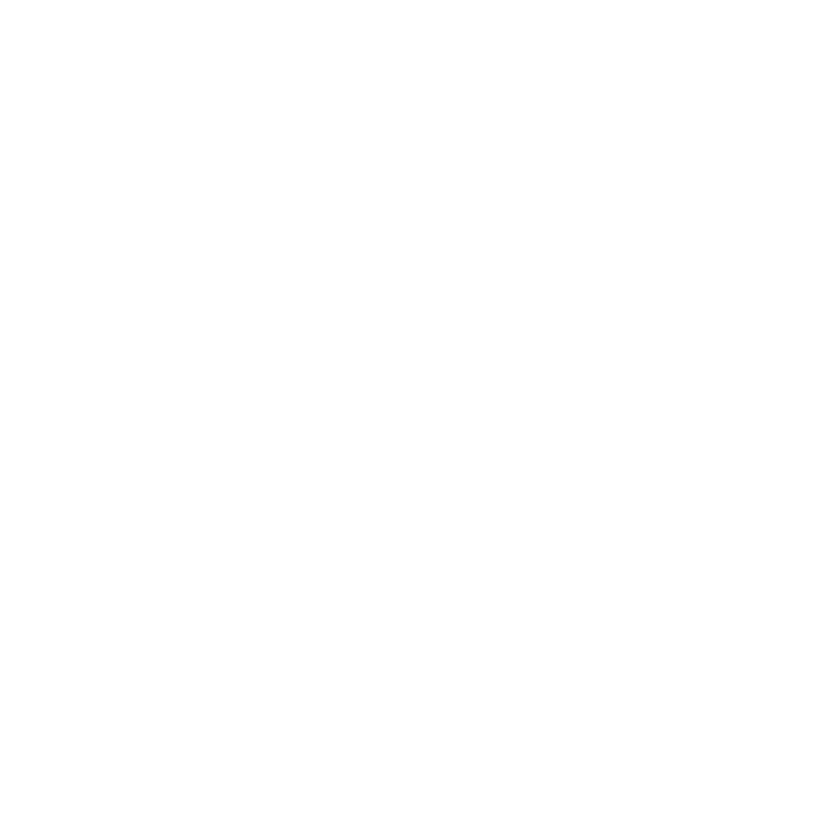 Falcon Incentives logo