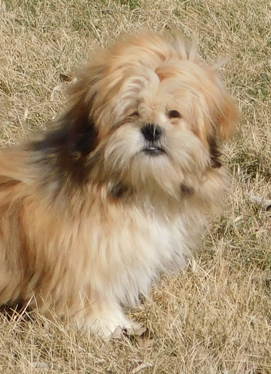 Charlie