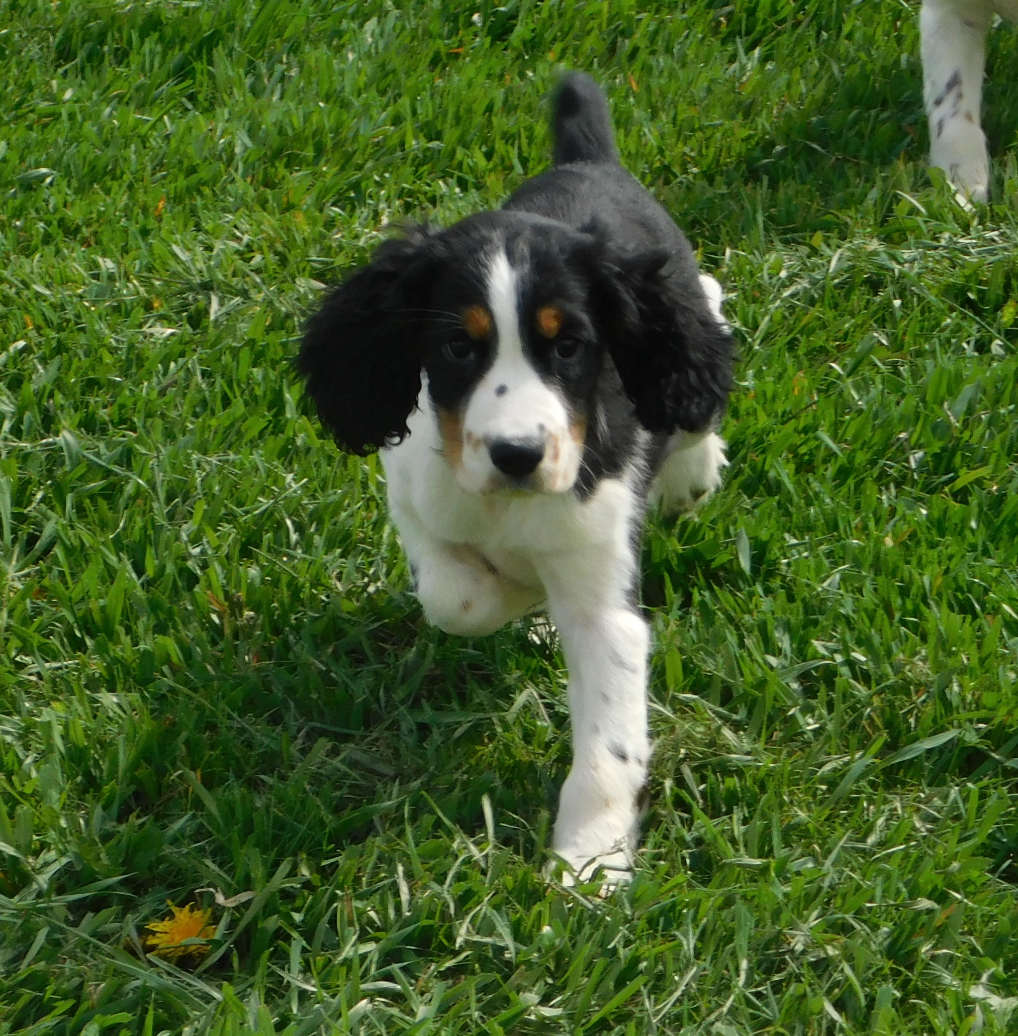 Carly