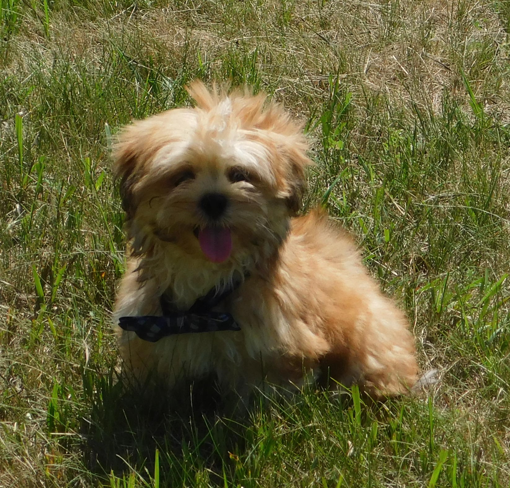 Farley