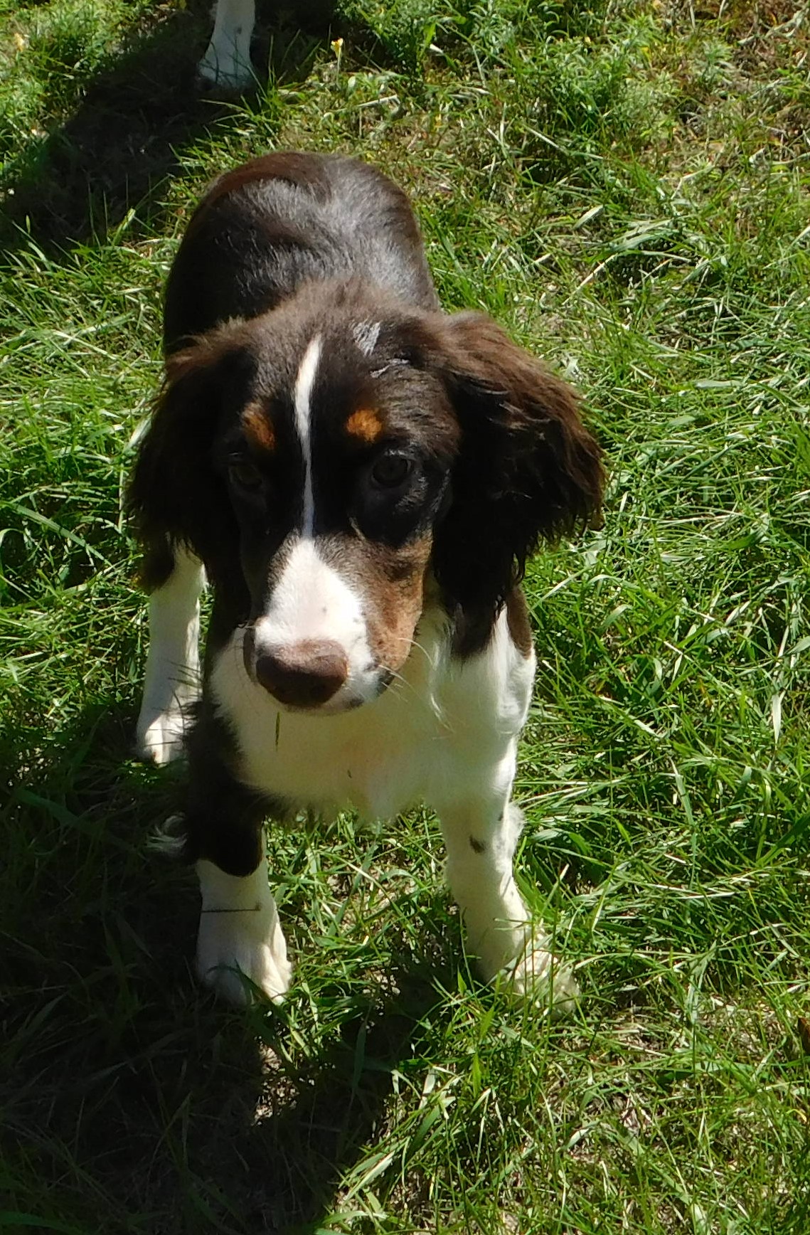 Wilma