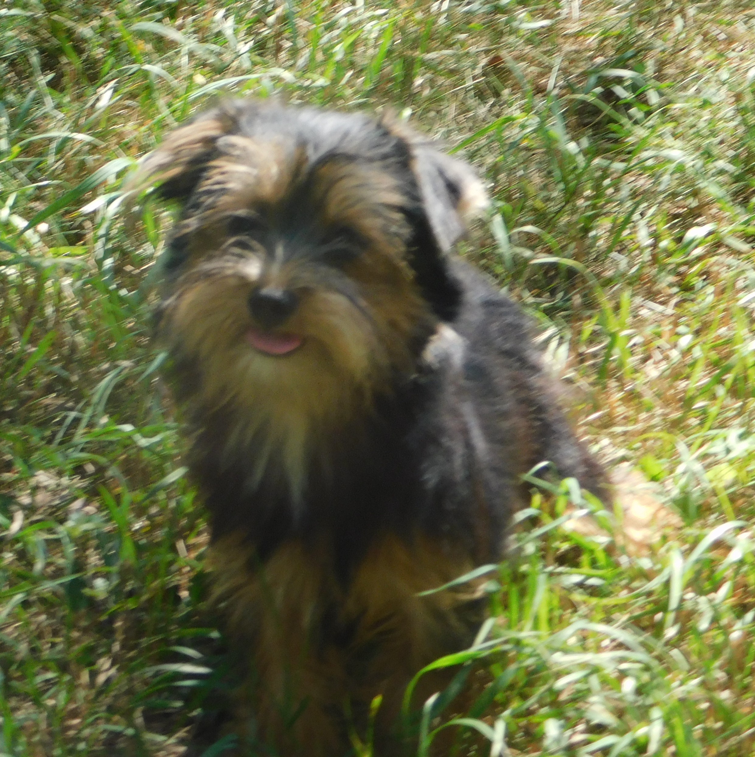 Bella