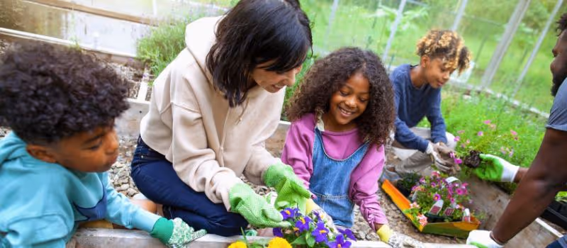 sowing-memories-5-reasons-why-you-need-to-try-community-gardening