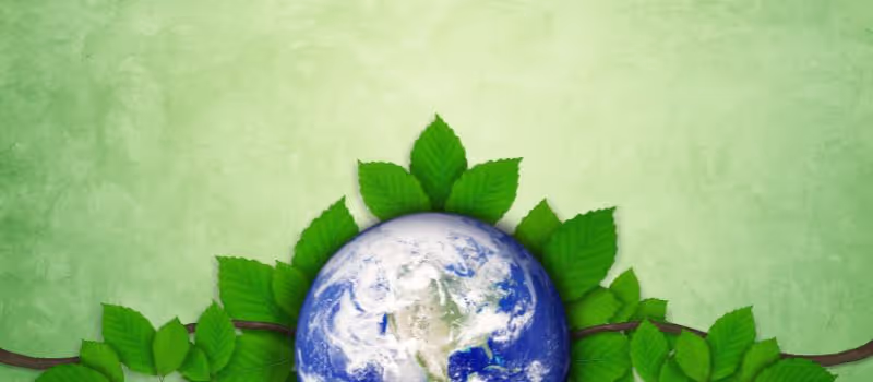 go-green-and-make-a-difference-5-simple-ways-to-celebrate-earth-day