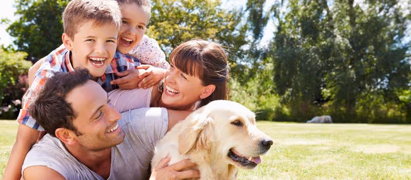 new-pet-who-dis-5-tips-to-help-you-navigate-pet-parenthood