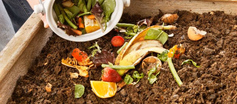 5-composting-dos-and-donts-for-a-greener-tomorrow
