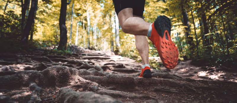 5-essential-tips-for-crushing-your-first-trail-run