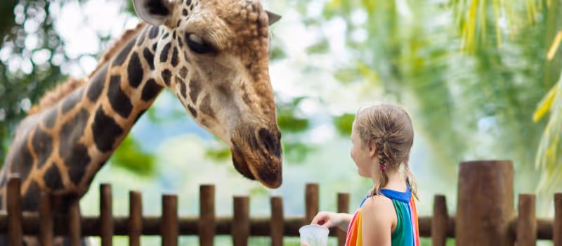 5-ways-to-make-a-zoo-visit-unforgettable-for-your-kids