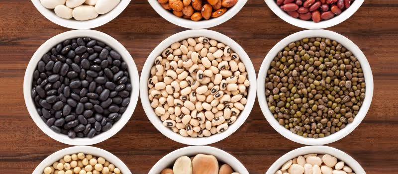 5-surprising-benefits-of-incorporating-beans-into-your-diet