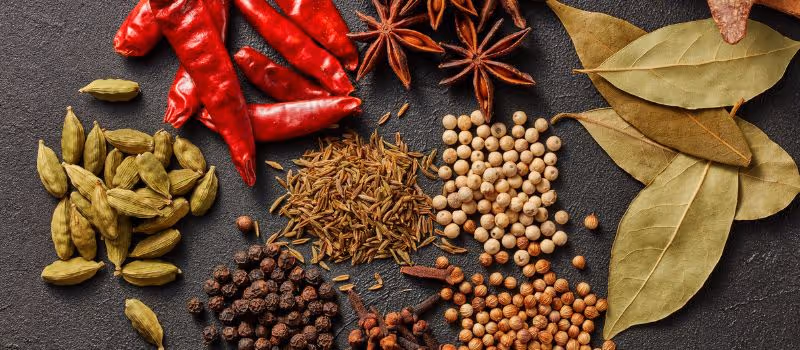 spice-up-your-life-5-top-herbs-to-add-fresh-flavor-to-your-cooking